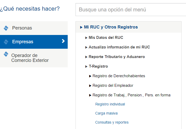 imagen6